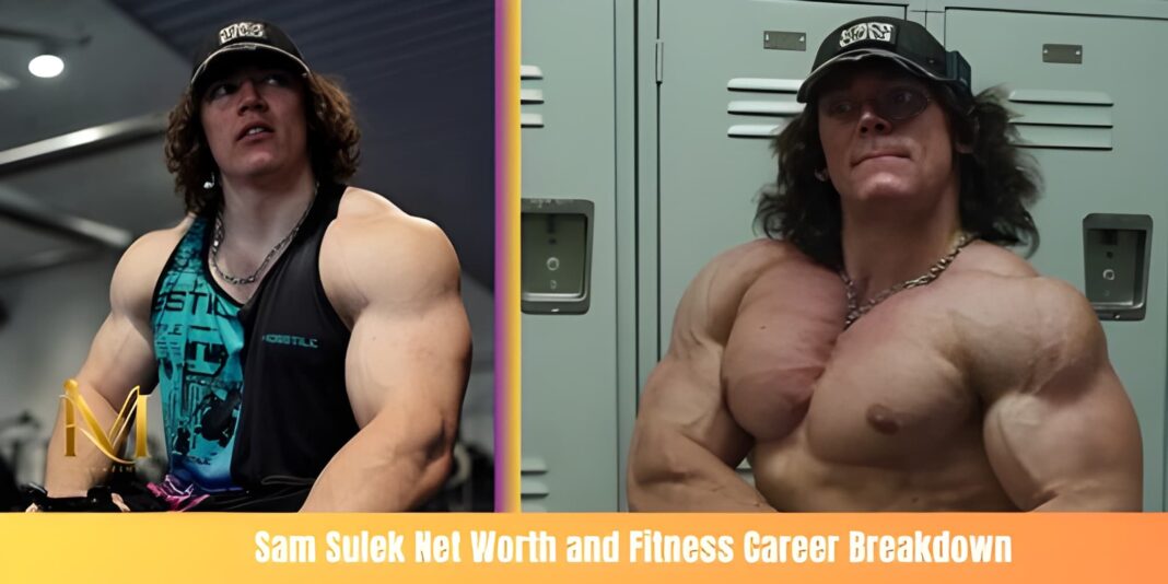 sam sulek net worth